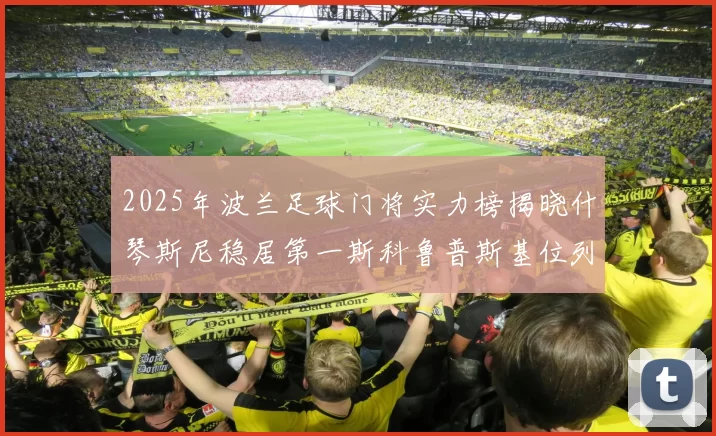 2025年波兰足球门将实力榜揭晓什琴斯尼稳居第一斯科鲁普斯基位列第三